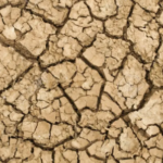 Lire la suite à propos de l’article Réchauffement climatique : L’eau va devenir plus rare encore sur plus de 80% des terres cultivées d’ici 2050 (Rapport)