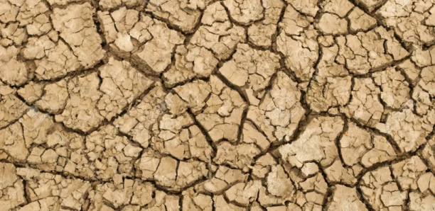 You are currently viewing Réchauffement climatique : L’eau va devenir plus rare encore sur plus de 80% des terres cultivées d’ici 2050 (Rapport)