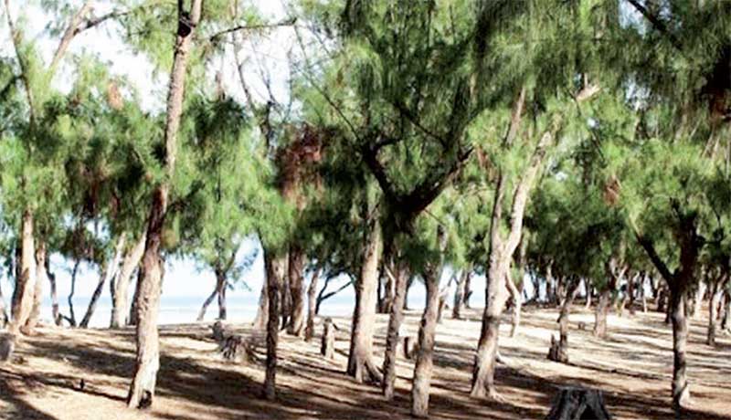 You are currently viewing Le FPRS/And Liguey exige l’audit du foncier de Guediawaye.