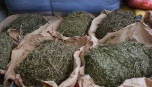 Lire la suite à propos de l’article Trafic de drogue : Le piroguier et la charretier prennent la poudre d’escampette.