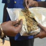 Lire la suite à propos de l’article Dahra-Djoloff : Un dealer arrêté avec 13 cornets de Yamba