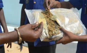 Lire la suite à propos de l’article Dakar: la Docritis démantèle une vaste mafia malienne de trafiquants de chanvre indien