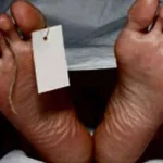 Lire la suite à propos de l’article Un jeune carreleur bat à mort un septuagénaire avec deux grosses pierres.