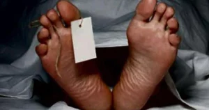 Lire la suite à propos de l’article Un jeune carreleur bat à mort un septuagénaire avec deux grosses pierres.