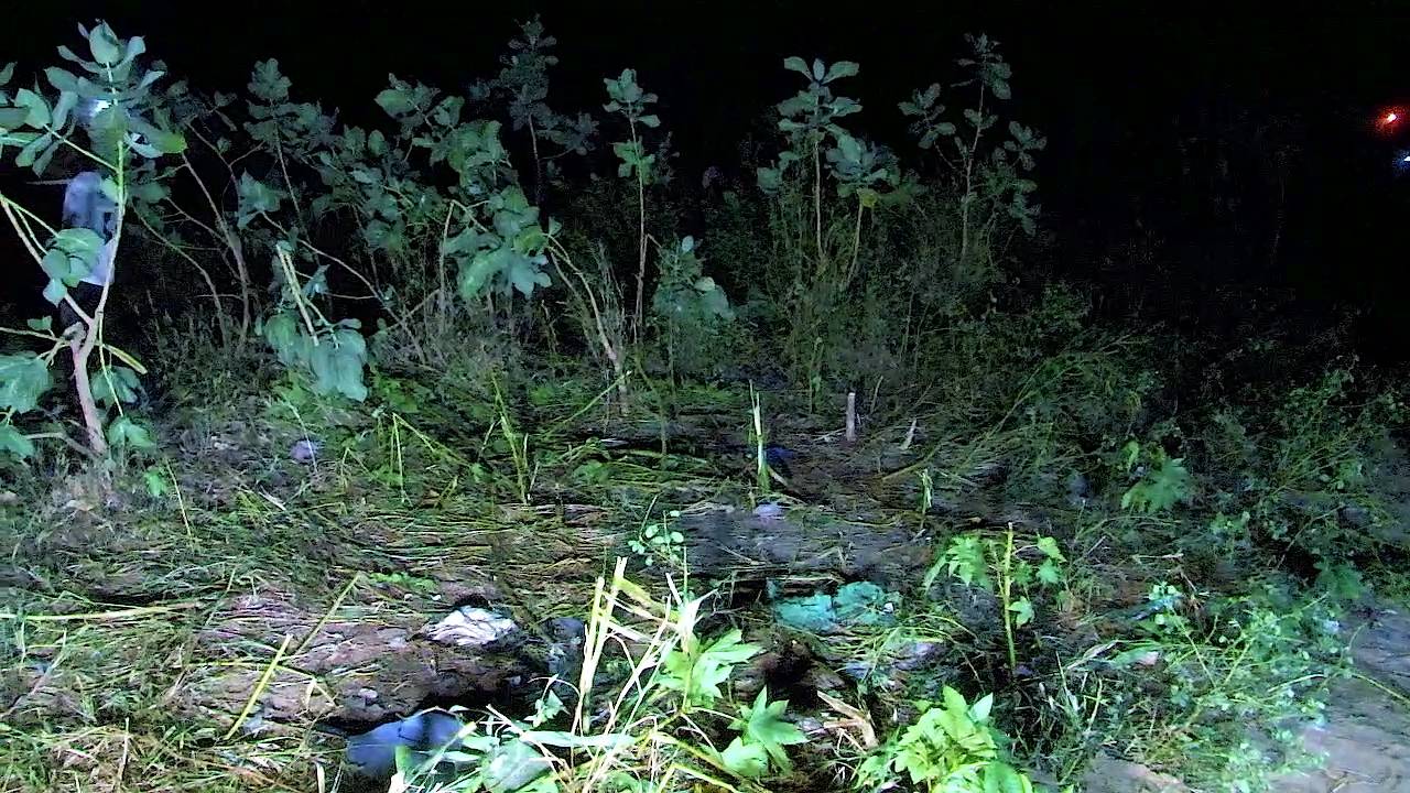 You are currently viewing Thiès : Le corps d’un enfant enterré découvert par des passants.