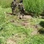 Lire la suite à propos de l’article Djibidione (Bignona) : 03 jeunes tués et 03 autres blessés par drone