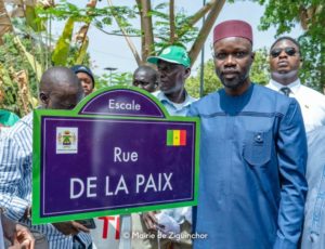 Lire la suite à propos de l’article Rebaptisation des rues de Ziguinchor: La decision de la Cour suprême est tombée !