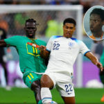 Lire la suite à propos de l’article Elimination des lions : les sénégalais se prononcent…