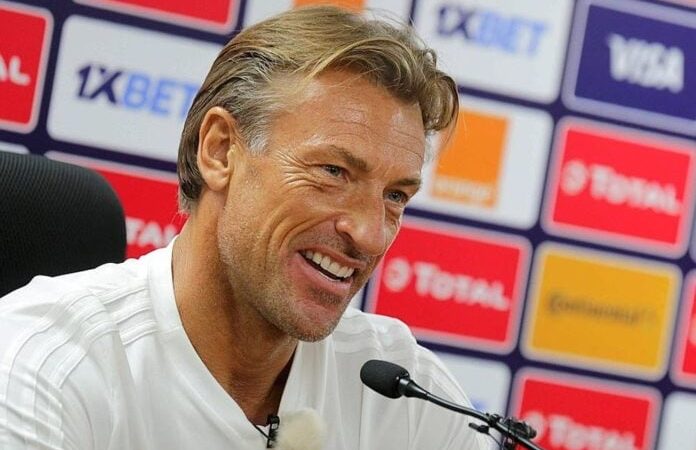 Côte d&rsquo;Ivoire : Hervé Renard de retour à la tête des Éléphants