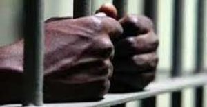 Lire la suite à propos de l’article Mbacké : Il assène des coups de gourdin à sa belle-sœur et fini en prison