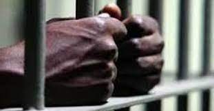 You are currently viewing Mbacké : Il assène des coups de gourdin à sa belle-sœur et fini en prison