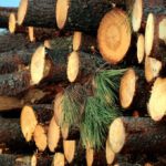 Lire la suite à propos de l’article Trafic illicite de bois : dix charrettes saisies à Bounkiling