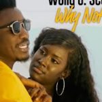 Lire la suite à propos de l’article Le clip « Why not » de Wally Ballago Seck sorti au grand jour de la Saint Valentin