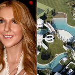 Lire la suite à propos de l’article Les villas de stars les plus chères de l’histoire d’Hollywood