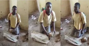 Lire la suite à propos de l’article Pr0fanation de tombes à Kolda: Voici le jeune homme arrêté avec un crâ.ne et des 0s d’un défunt