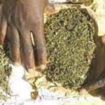 Lire la suite à propos de l’article Rapatrié de la France pour trafic de drogue: Il tombe avec plusieurs gramme de drogue
