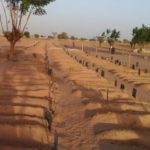 Lire la suite à propos de l’article Exhumation mystérieuse de corps à Kolda