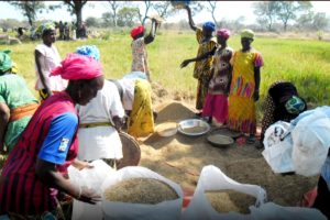 Lire la suite à propos de l’article PLAIDOYER DES FEMMES RURALES A DISPOSER DE LA BONNE TERRE :   Ndiouck Mbaye Lindor appelle le chef de l’Etat, Macky Sall, à organiser les assises de l’agriculture et du foncier