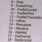 Lire la suite à propos de l’article Rapport du recensement général du Sénégal : l’ANSD saisit par la communauté Fulbé 