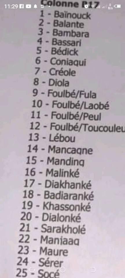 You are currently viewing Rapport du recensement général du Sénégal : l’ANSD saisit par la communauté Fulbé 