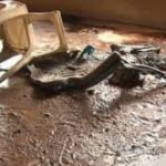 Lire la suite à propos de l’article Affrontements Ziguinchor : Deux maisons de responsables politiques de BBY saccagées