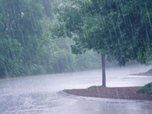 Lire la suite à propos de l’article Alerte météo : des activités pluvieuses vont persister sur plusieurs localités du Sud et du Centre-ouest