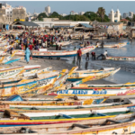 Lire la suite à propos de l’article Émigration clandestine : les étranges récits de capitaines de pirogue