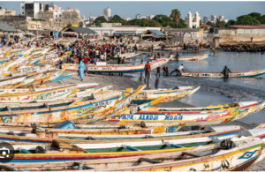 Lire la suite à propos de l’article Émigration clandestine : les étranges récits de capitaines de pirogue