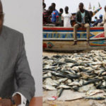 Lire la suite à propos de l’article Lettre à Papa Sagna Mbaye sur la crise des ressources halieutiques : Des acteurs de la pêche tirent sur la sonnette d’alarme