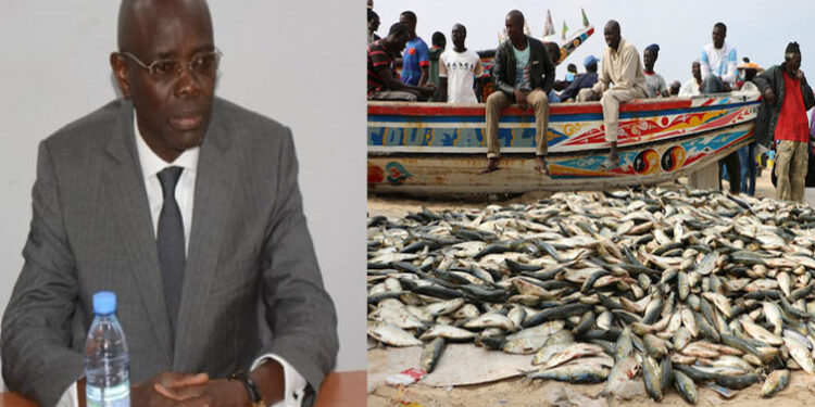 You are currently viewing Lettre à Papa Sagna Mbaye sur la crise des ressources halieutiques : Des acteurs de la pêche tirent sur la sonnette d’alarme