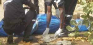 Lire la suite à propos de l’article Bignona : disparus depuis 46 jours, deux enfants de 4 et 5 ans retrouvés morts dans la forêt de Tenghory
