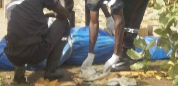 You are currently viewing Bignona : disparus depuis 46 jours, deux enfants de 4 et 5 ans retrouvés morts dans la forêt de Tenghory