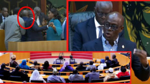 Lire la suite à propos de l’article Thierno Alassane Sall : Nous sommes en train de modifier la Constitution de ce pays sur la base d’allégations