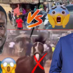 Lire la suite à propos de l’article Parcelles Assainies : le film des violents affrontements entre pro-Diomaye Faye et pro-Amadou Ba