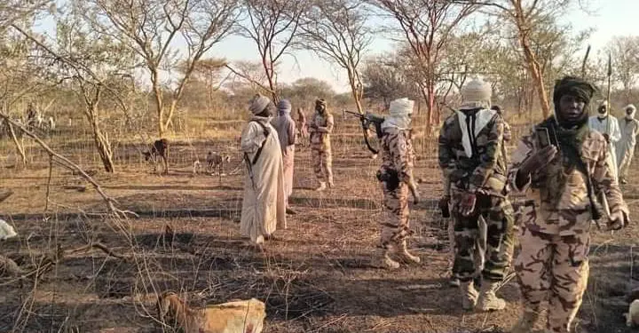 You are currently viewing Violents affrontements au Tchad : 42 morts lors de nouveaux combats intercommunautaires