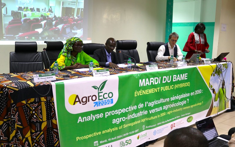 Lire la suite à propos de l’article Campagne agricole 2024 au Sénégal : Les acteurs de l’agro-écologie s’y mettent déjà