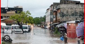 Lire la suite à propos de l’article Premières pluies en Casamance : d’importants dégâts enregistrés après une forte pluie