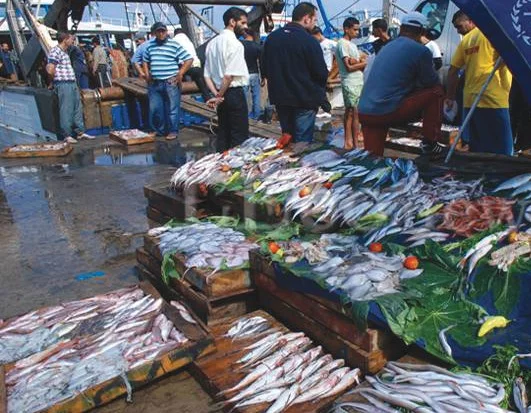 You are currently viewing Gestion des licences de pêche : le nouveau régime sonne la fin de la pagaille
