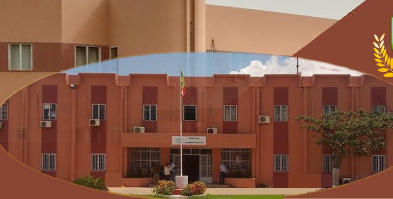 You are currently viewing Mairie de Pikine : Un parcours du combattant pour obtenir un document administratif