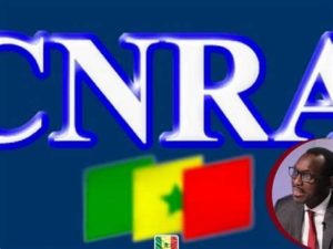 Lire la suite à propos de l’article Insultes et vulgarités : Le CNRA avertit les médias et les producteurs de séries faire très attention …