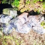 Lire la suite à propos de l’article Opérations coup de poing -580 kg de chanvre saisis: la gendarmerie frappe fort à Dakar et Fimela