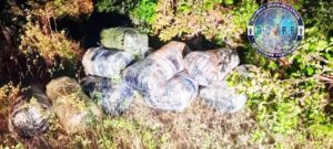 Lire la suite à propos de l’article Opérations coup de poing -580 kg de chanvre saisis: la gendarmerie frappe fort à Dakar et Fimela