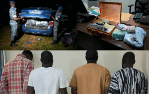 Lire la suite à propos de l’article MBOUR : Saisie record de chanvre indien 108 kg