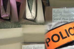 Lire la suite à propos de l’article Dakar : 17,6 kg de kush en provenance de Chine interceptés par la BRS