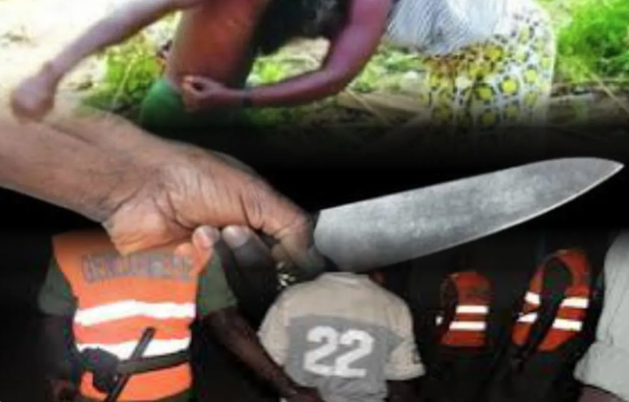 You are currently viewing Kawtef à Mbour : Un maçon tu.e sa mère qui l’accusait de vol