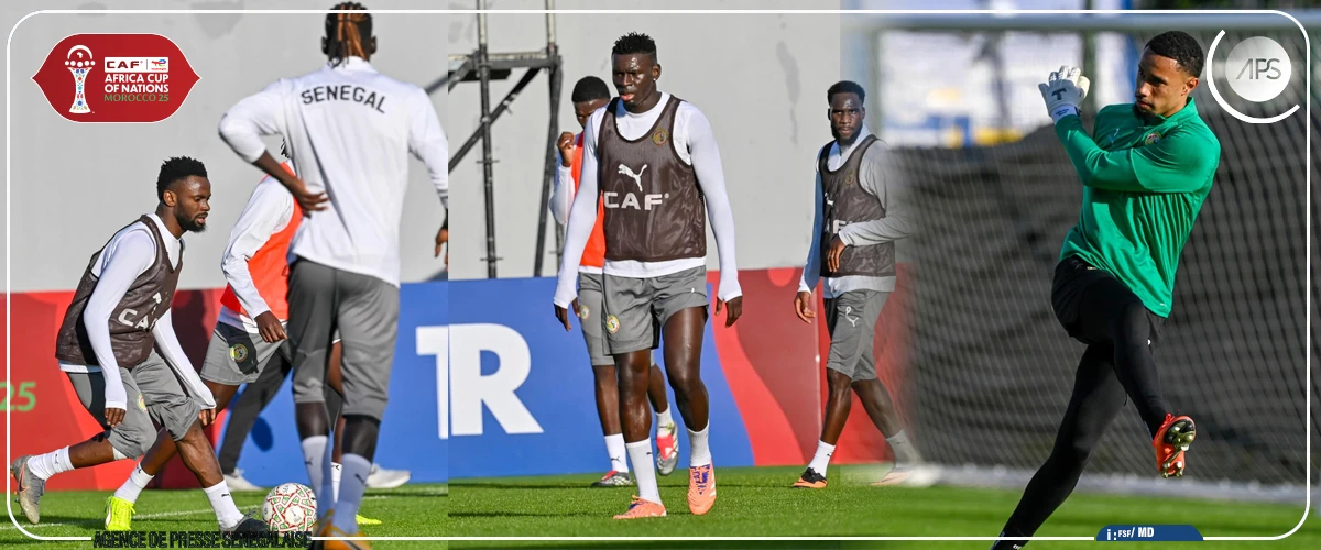 You are currently viewing Entraînement des Lions : dix-sept joueurs sur le terrain ce mercredi