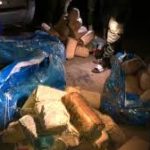 Lire la suite à propos de l’article Plus de 150 kg de chanvre saisis à Yenne, un réseau mis hors d’état de nuire à Tivaouane Peulh