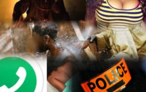 Affaire des propos obscènes sur TikTok : le verdict est tombé pour «Saflé k…»