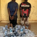 Lire la suite à propos de l’article Saraya: Deux ressortissants nigériens arrêtés à Mouran avec une importante quantité de tramadol