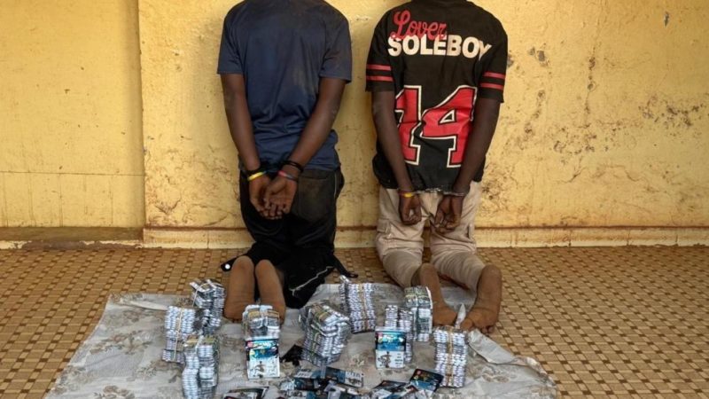 Saraya: Deux ressortissants nigériens arrêtés à Mouran avec une importante quantité de tramadol
